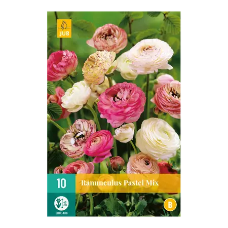 Ranunculus Pastel Mix 10st
