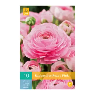 Ranunculus Roze - 10 bloembollen