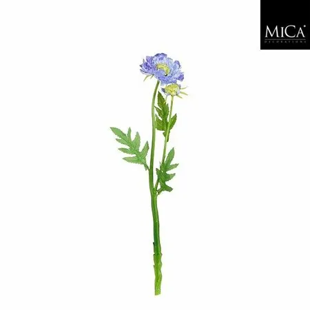 Scabiosasteel L50cm Creme