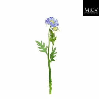 Scabiosasteel L50cm Creme