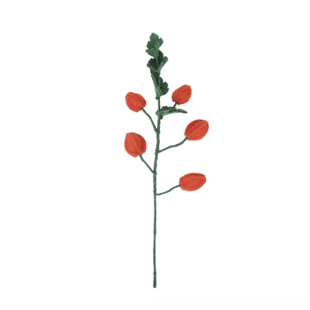 Sjaal met Verhaal Bloem Tak Physalis Lampion