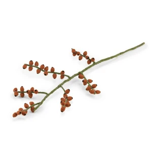 Sjaal met Verhaal Tak Bes Rozenbottel Vilt