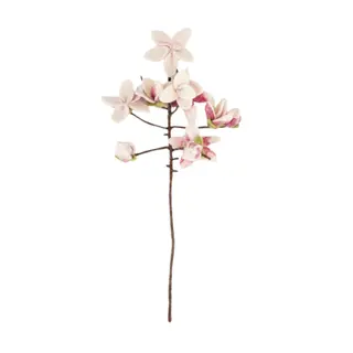 Sjaal met Verhaal Tak Magnolia - Viltdecoratie