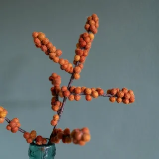 Sjaal met Verhaal Tak Vilt Bes Ilex Oranje - viltdecoratie - afbeelding 2