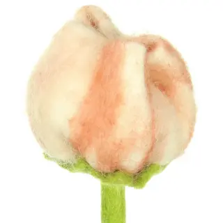 Sjaal met Verhaal Tulp Vilt Zoe - afbeelding 3