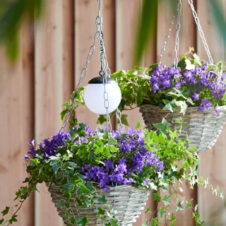 Solar Hanging Basket Bal