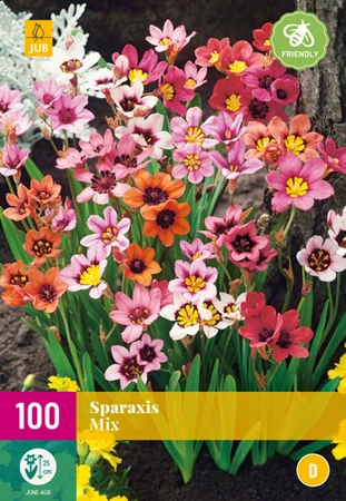 Sparaxis Mix 100st