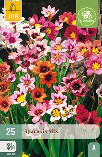 SPARAXIS MIX