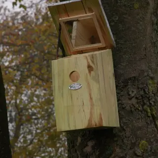 Spiegelnestkast - afbeelding 5