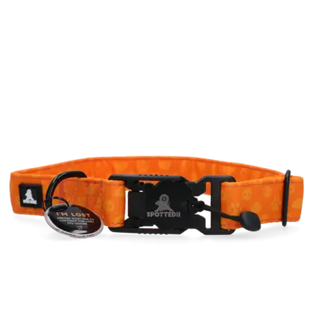 Spotted Pro Halsband L Oranje - afbeelding 1