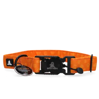 Spotted Pro Halsband L Oranje - afbeelding 1