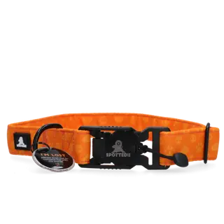 Spotted Pro Halsband M Oranje - afbeelding 1