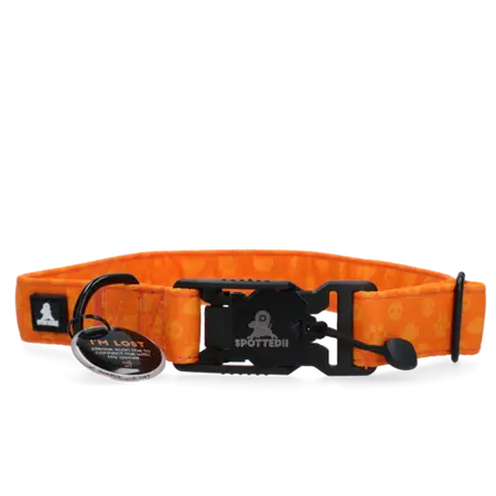 Spotted Pro Halsband XL Oranje - afbeelding 1