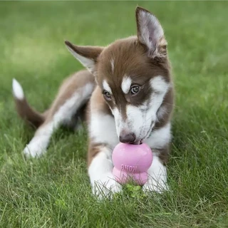 KONG Stuff'N Easy Treat Puppy - afbeelding 3