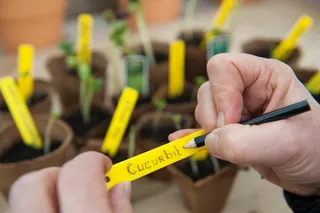 Steeketiketten 10cm Geel - 25 stuks - afbeelding 3