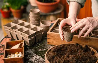 Stek- en kweekpotjes