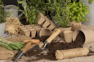 Stek- en kweekpotjes