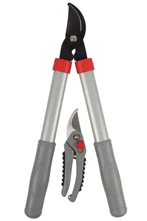 TALEN TOOLS Snoeiset Takkenschaar/snoeischaar