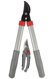 TALEN TOOLS Snoeiset Takkenschaar/snoeischaar