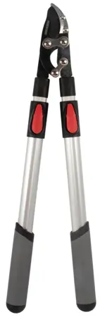 Takkenschaar - Aambeeld - Telescopisch - Premium