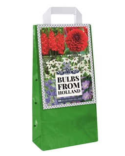 Tas 125 Bulbs From Holland