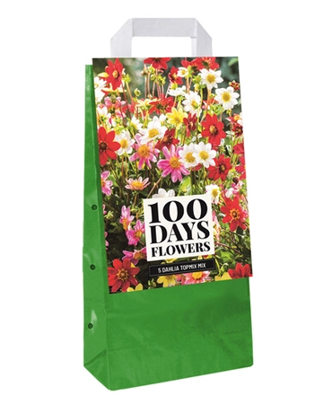 Tas 5 Dahlia Topmix