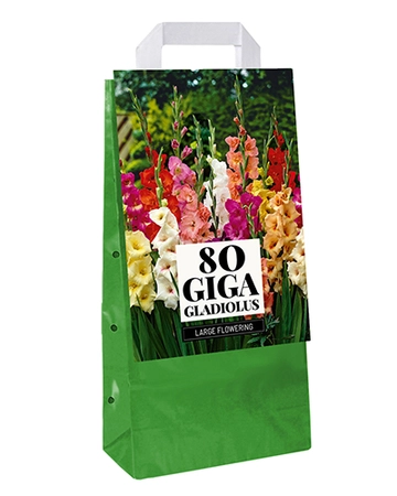 Tas 80 Gladiolus Mix
