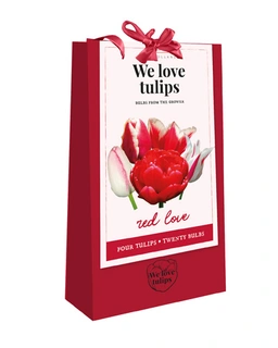 ’We Love Tulips – Red Love’ tulpentas (20× Triumph Rood 11/12 cm) – intense lentekleur in je tuin