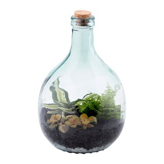 Terrarium fles 5 liter set - afbeelding 2