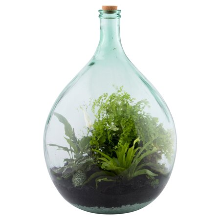 Terrarium fles 55 liter set - afbeelding 2