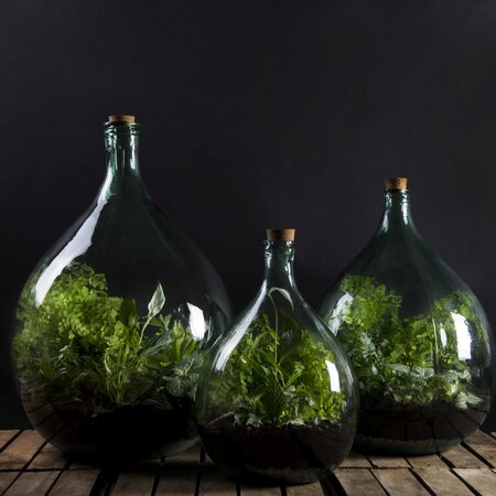 Terrarium fles 55 liter set - afbeelding 3