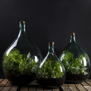 Terrarium fles 55 liter set - afbeelding 3