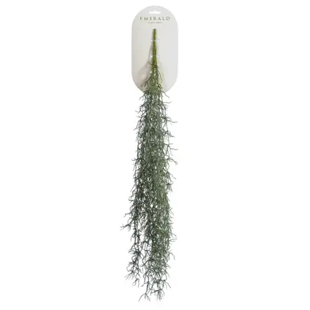 Tillandsia Hangend 80cm Grijs