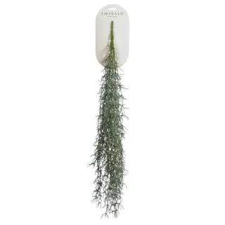 Tillandsia Hangend 80cm Grijs