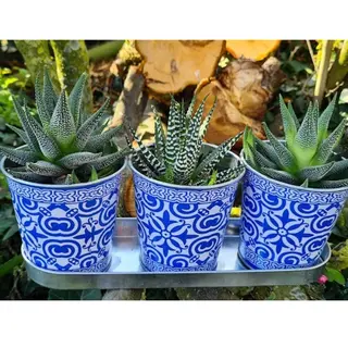 Trio Pot Madeira op Tray - Ø10 cm - Blauw Tegelmotief - afbeelding 2