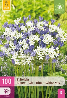 Triteleia Mix Blauw/wit 100st