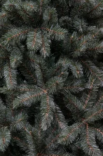 Triumph Tree Kunstkerstboom Slim Forest Frosted Blue - H185cm x Ø102cm - afbeelding 2