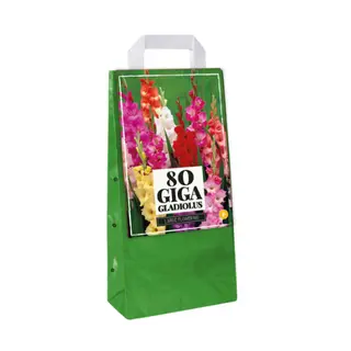 Tas 80 Gladiolus Mix