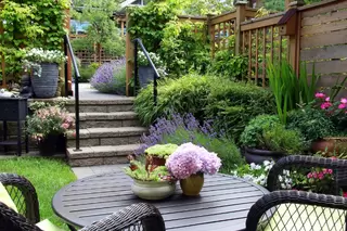 Tuininrichting