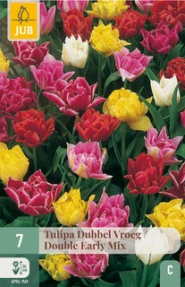 Tulipa Dubbel Vroeg Mix - 7 bloembollen