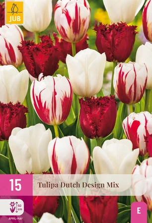Tulipa Dutch Design Mix - 15 bloembollen