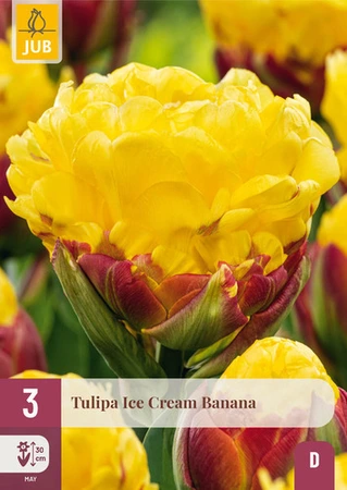 Ice Cream Banana