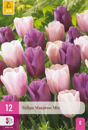 Tulipa Macaron Mix - 12 bloembollen