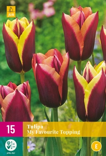 Tulipa My Favourite Topping - 15 bloembollen