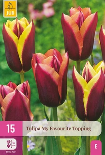Tulipa My Favourite Topping - 15 bloembollen