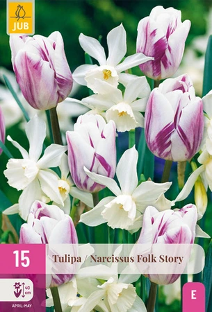 Tulipa / Narcissus Folk Story - 15 bloembollen