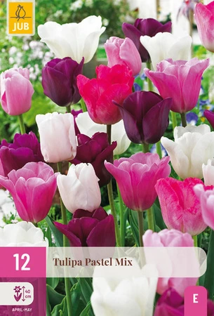Tulipa Pastel Mix - 12 bloembollen
