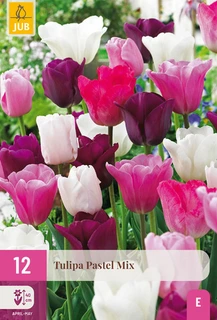 Tulipa Pastel Mix - 12 bloembollen