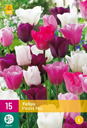 Tulipa Pastel Mix - 15 bloembollen