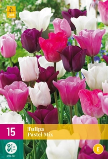 Tulipa Pastel Mix - 15 bloembollen